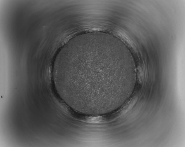 X0000093430410200710261023