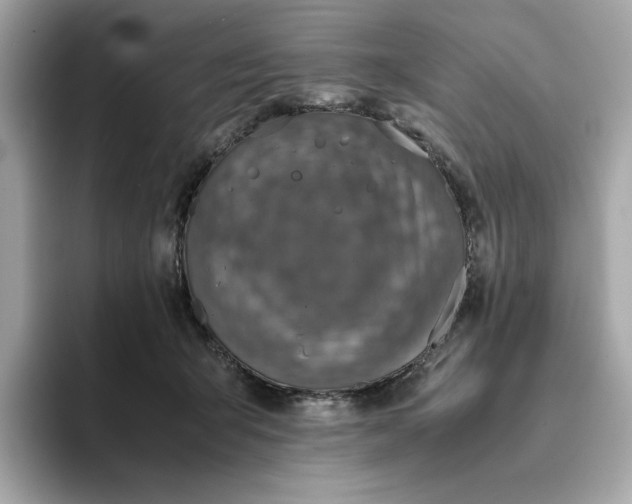 X0000093430415200710261023