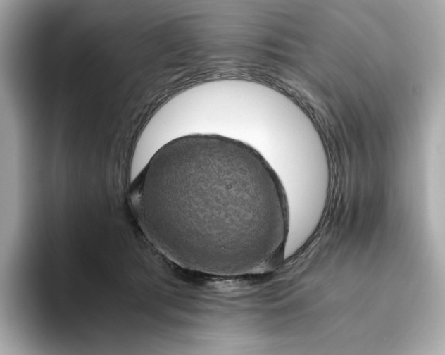 X0000093430417200710261023