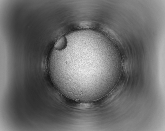 X0000093430418200710261023