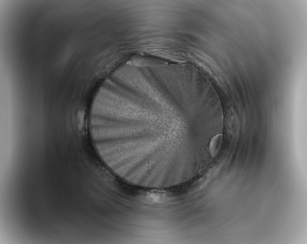 X0000093430420200710261023