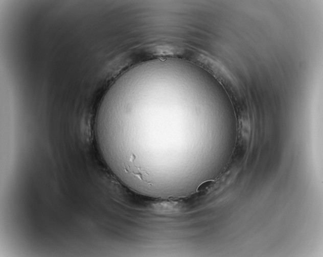 X0000093430422200710261023