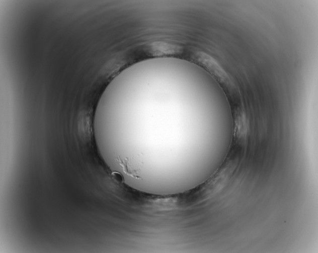 X0000093430426200710261023