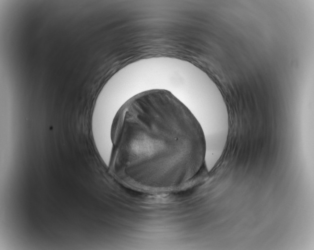 X0000093430428200710261023