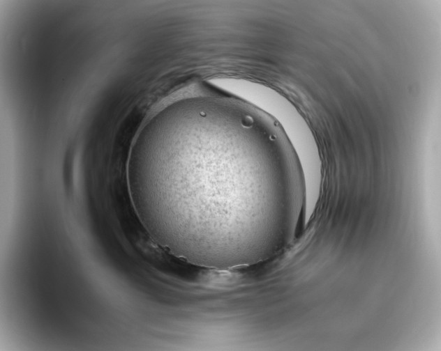 X0000093430429200710261023