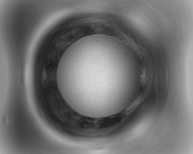 X0000093430430200710261023