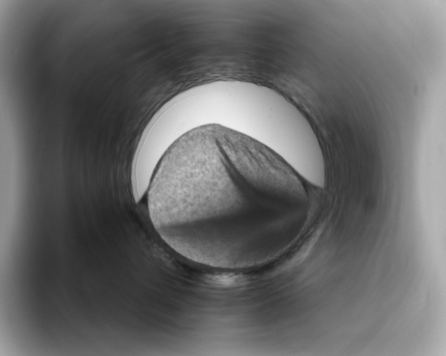 X0000093430432200710261023