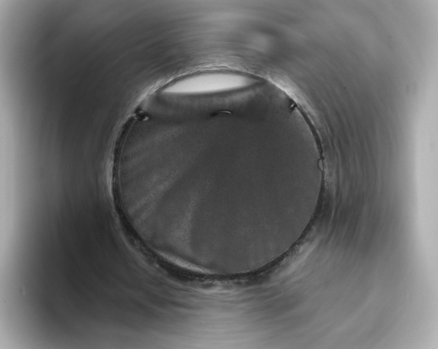 X0000093430434200710261023