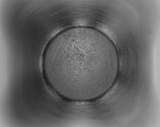 X0000093430439200710261023