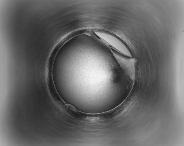 X0000093430440200710261023