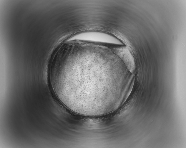 X0000093430442200710261023