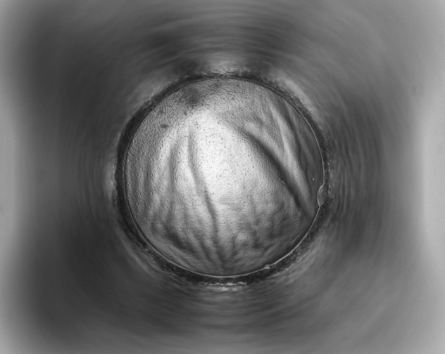 X0000093430443200710261023