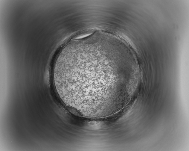 X0000093430444200710261023