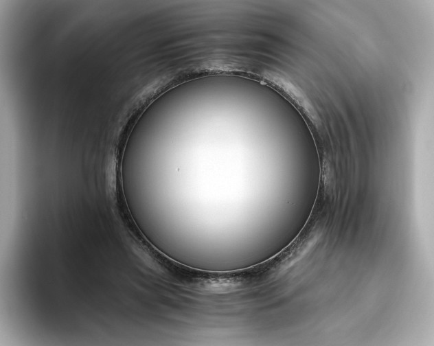 X0000093430445200710261023