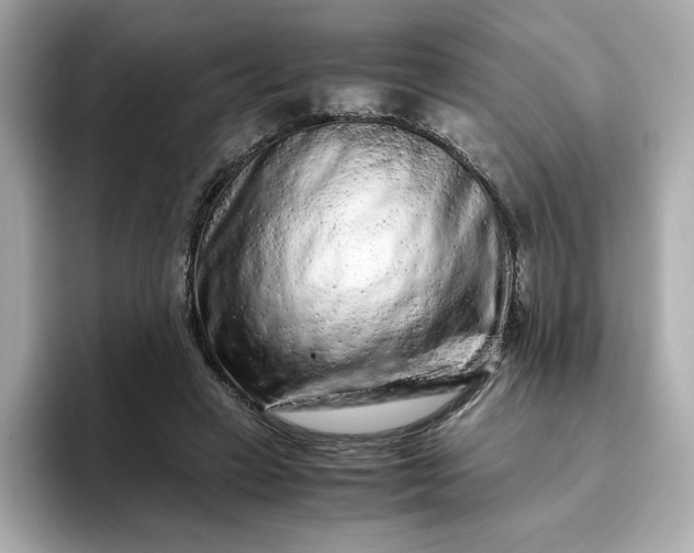 X0000093430449200710261023