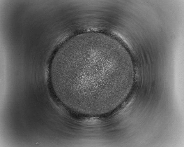 X0000093430451200710261023