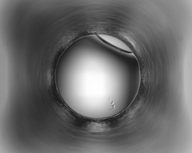 X0000093430455200710261023