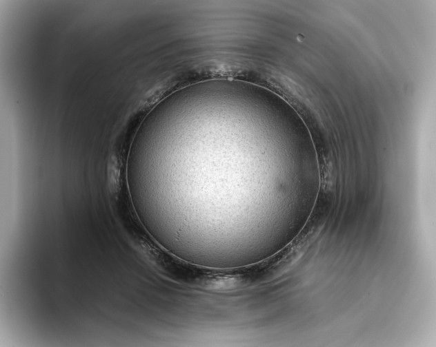 X0000093430456200710261023