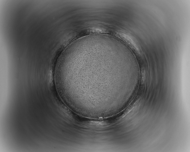 X0000093430457200710261023