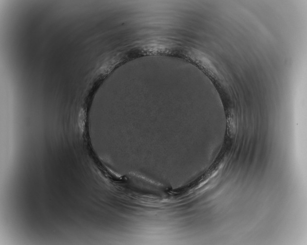 X0000093430458200710261023