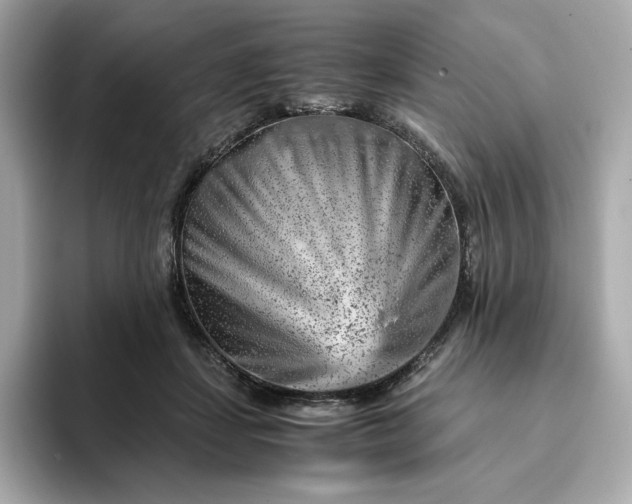 X0000093430459200710261023