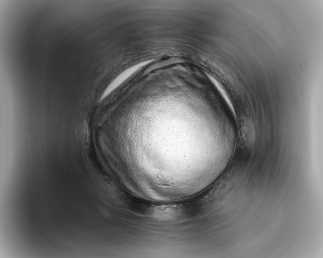 X0000093430461200710261023