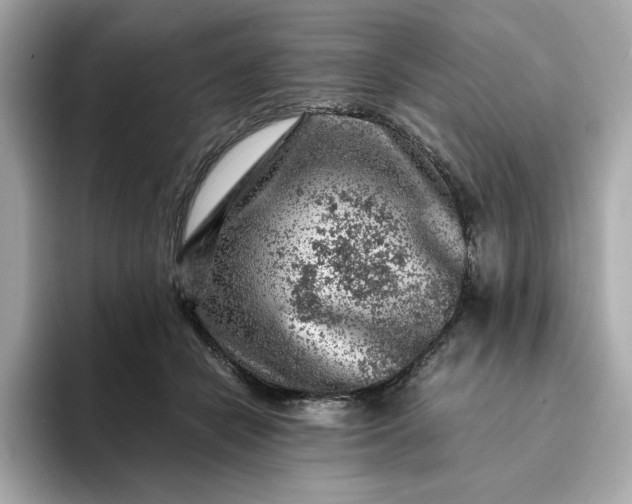 X0000093430462200710261023