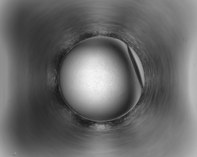 X0000093430464200710261023