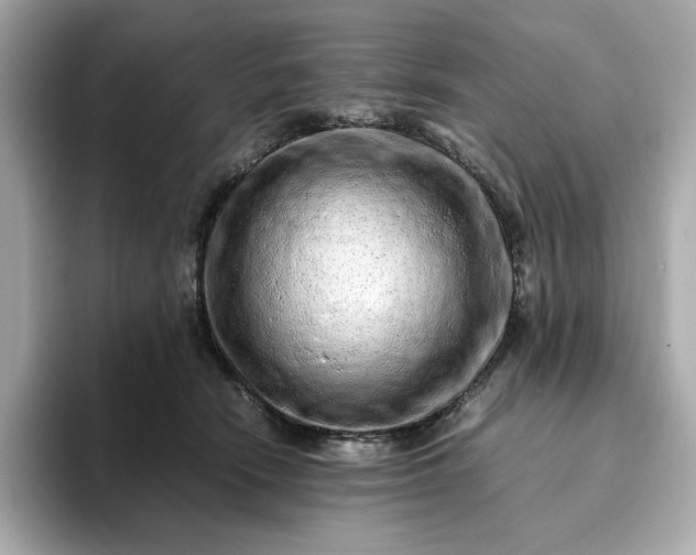 X0000093430466200710261023