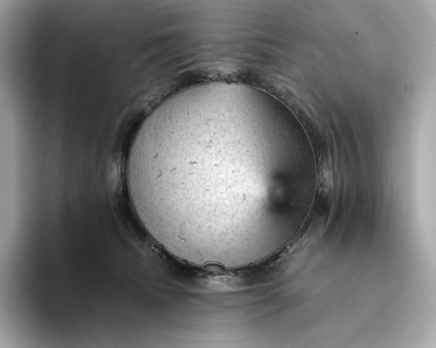 X0000093430468200710261023