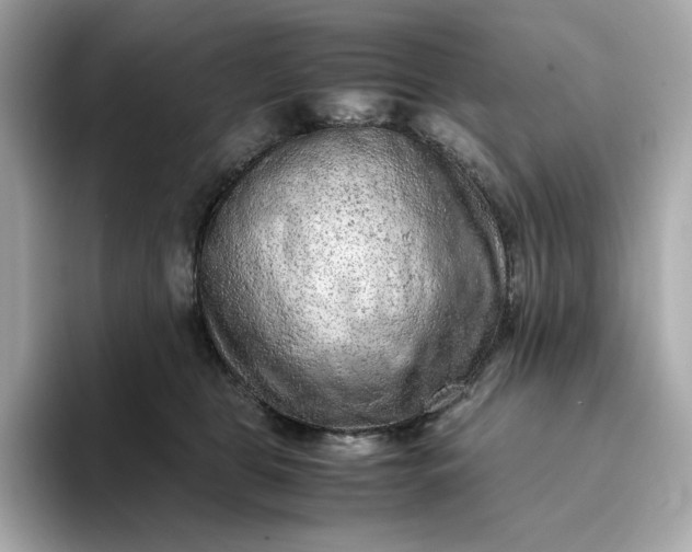 X0000093430469200710261023