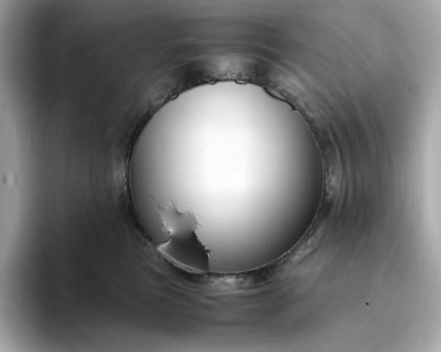 X0000093430473200710261023