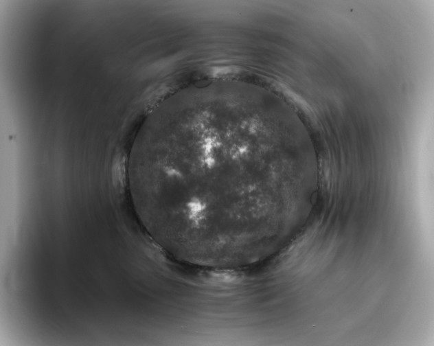 X0000093430475200710261023