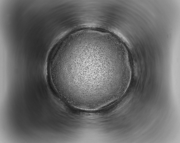 X0000093430486200710261022