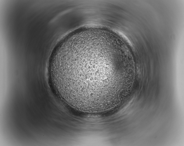 X0000093430487200710261022