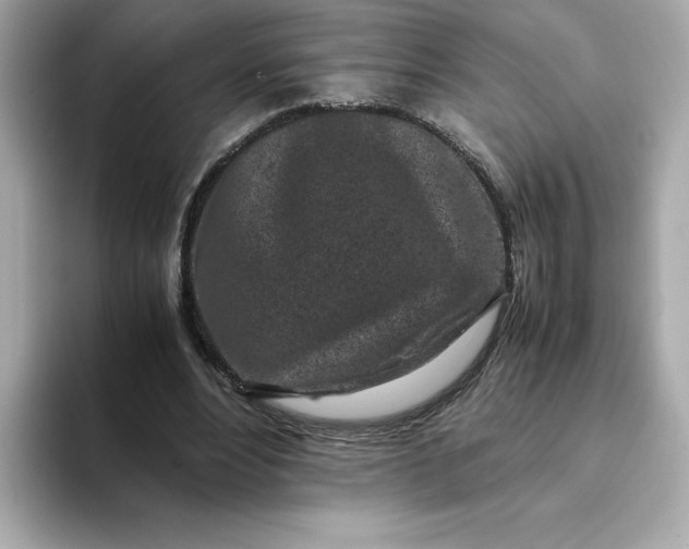 X0000093430488200710261022