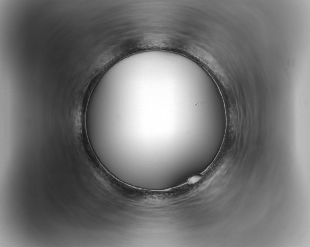 X0000093430489200710261022