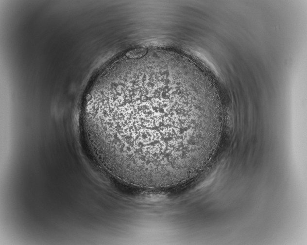 X0000093430491200710261022