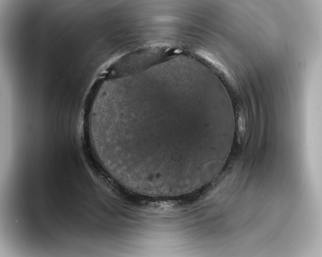 X0000093430492200710261022