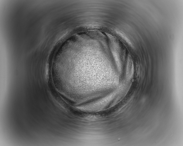 X0000093430494200710261022