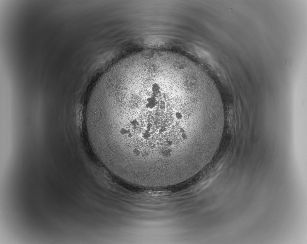 X0000093430495200710261022