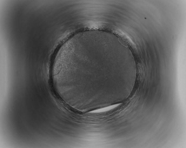 X0000093430496200710261022