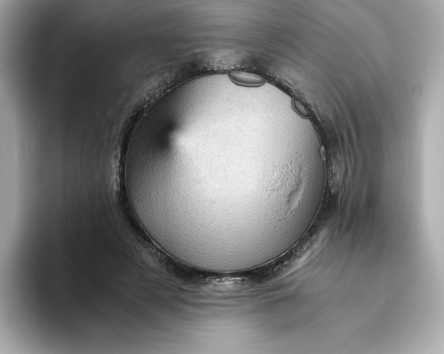 X0000093430497200710261022