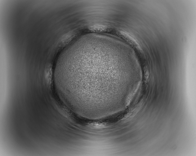 X0000093430498200710261022