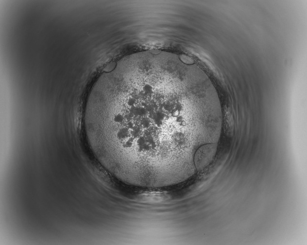 X0000093430499200710261022