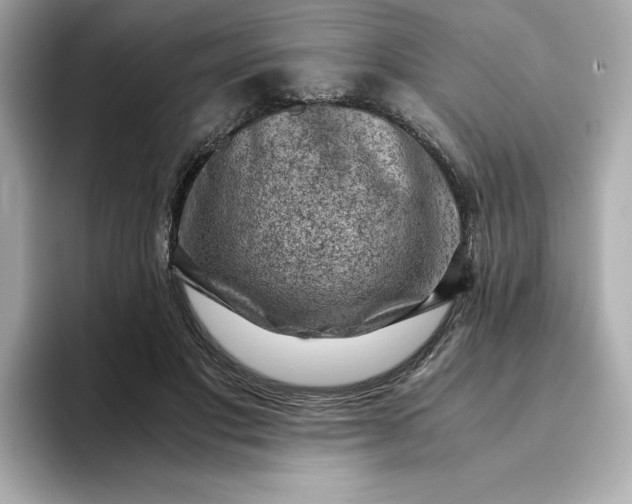 X0000093430501200710261022