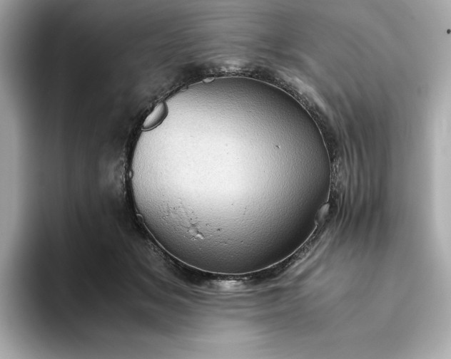 X0000093430509200710261022