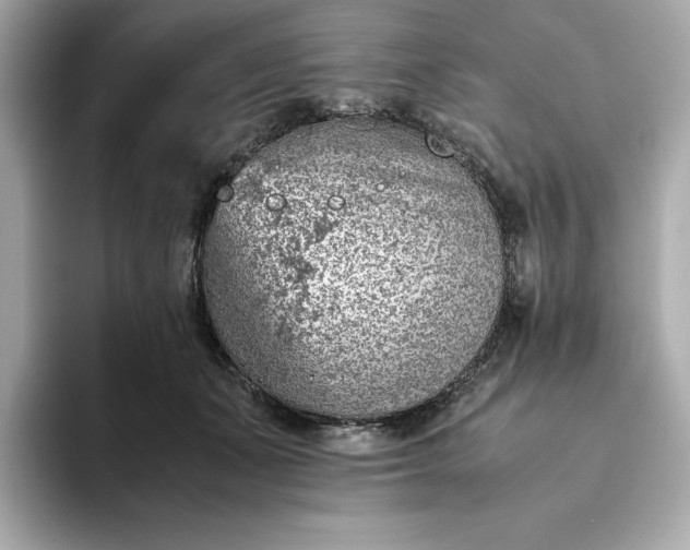 X0000093430511200710261022