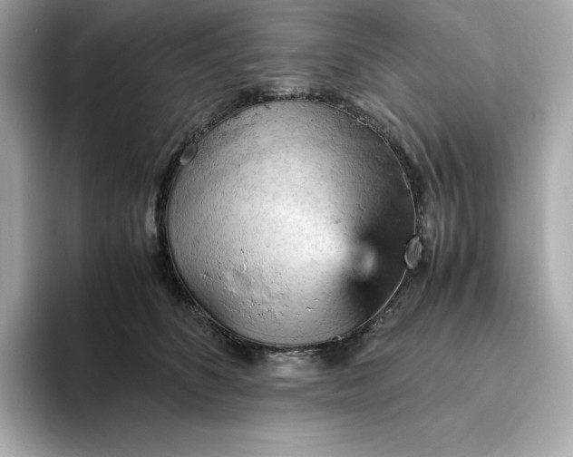 X0000093430516200710261022