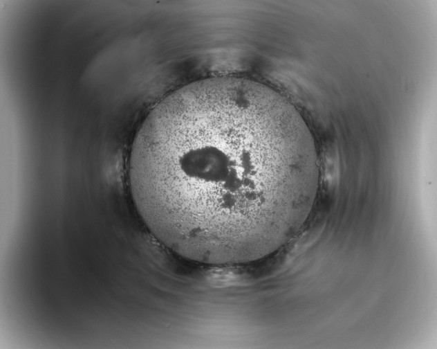 X0000093430519200710261022